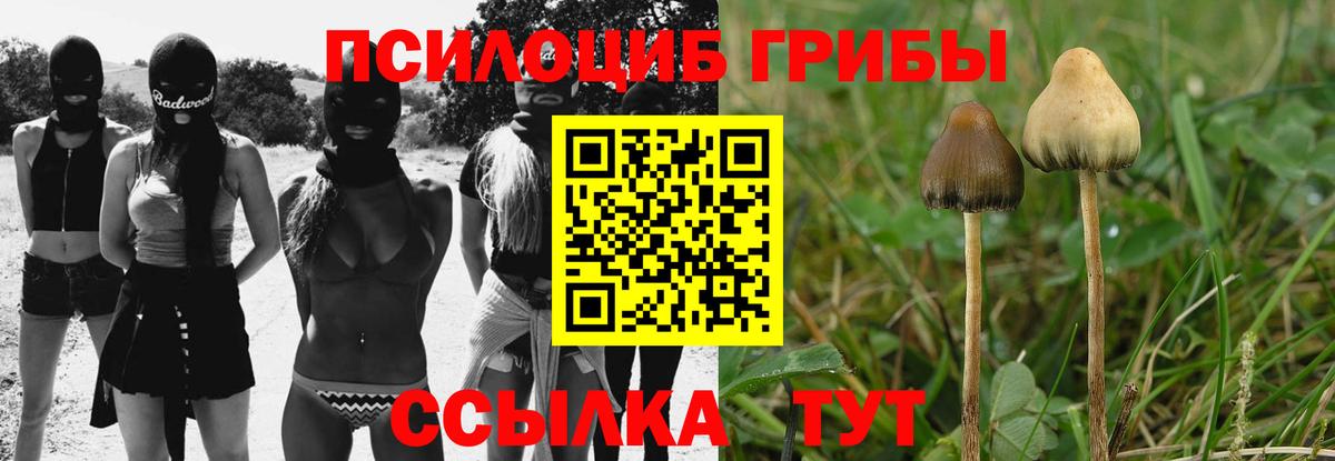 Галлюциногенные грибы MAGIC MUSHROOMS  наркотики  Ярцево  Вход с VPN 