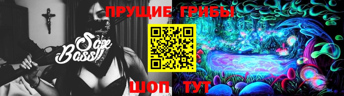 Псилоцибиновые грибы Psilocybe Ярцево